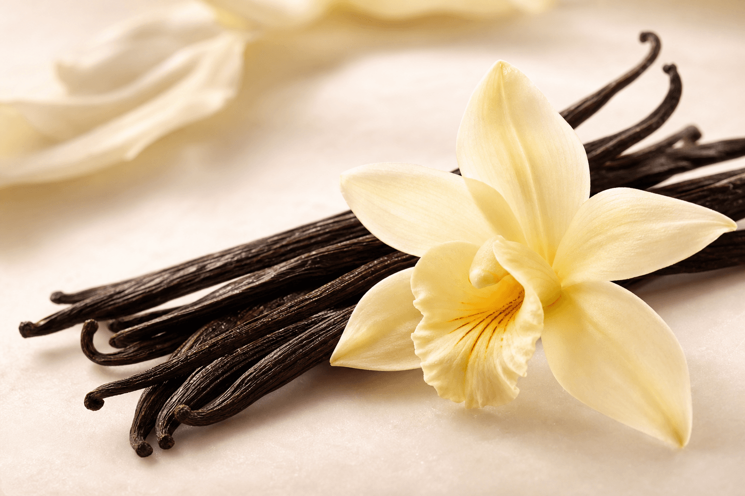Vanilla